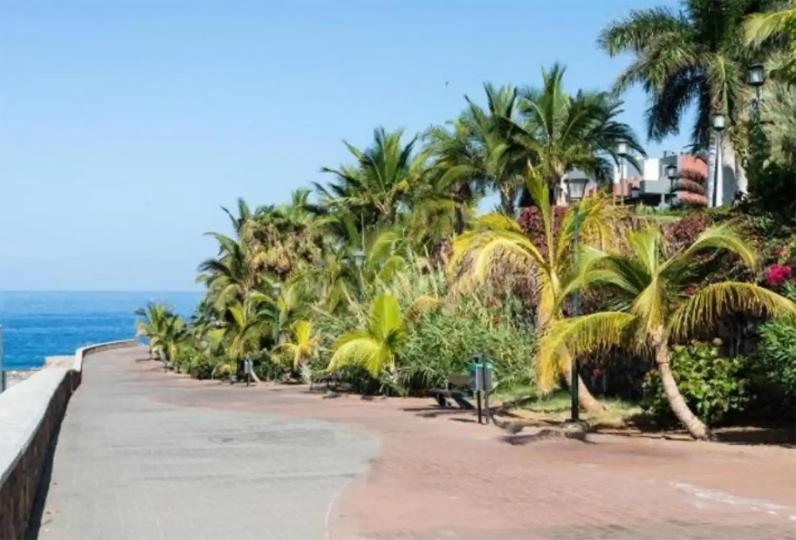 Flat for rent in Calle El Horno, 21, Callao Salvaje - Playa Paraíso Flat for rent in Calle El Horno, 21, Callao Salvaje - Playa Paraíso