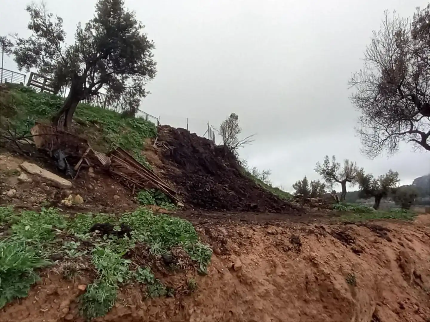 Außenansicht von Fabrikhallen zum Verkauf in Horta de Sant Joan
