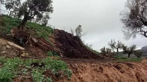 Foto 5 von Fabrikhallen zum Verkauf in Avinguda del Port D'horta de Sant Joan, 46, Horta de Sant Joan, Tarragona