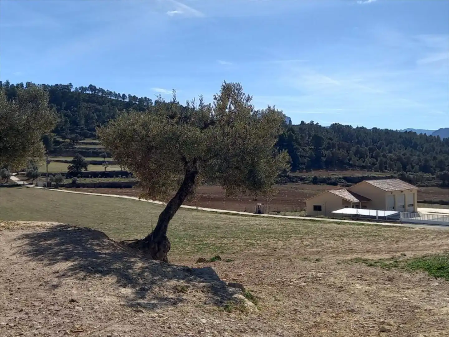 Fabrikhallen zum Verkauf in Horta de Sant Joan