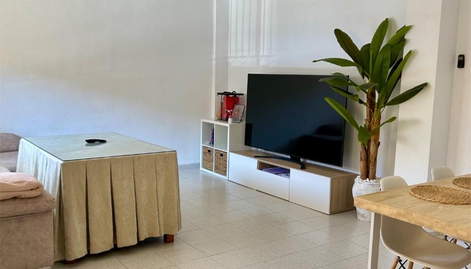 Single-family semi-detached to share in Avenida Santa Teresa de Jornet, 3, Sur, Badajoz - image 1 Photo 1 of Single-family semi-detached to share in Avenida Santa Teresa de Jornet, 3, Sur, Badajoz