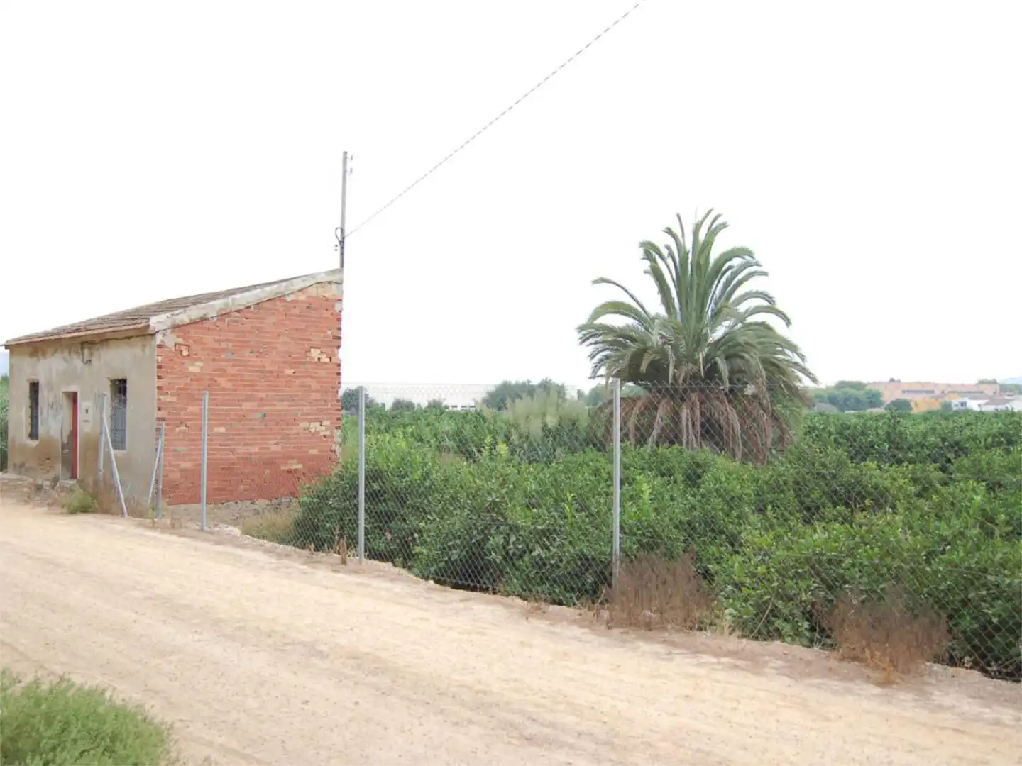 Finca rústica en venta en Vereda del Cementerio, 264, Desamparados - Hurchillo - Torremendo Finca rústica en venta en Orihuela con Jardín privado