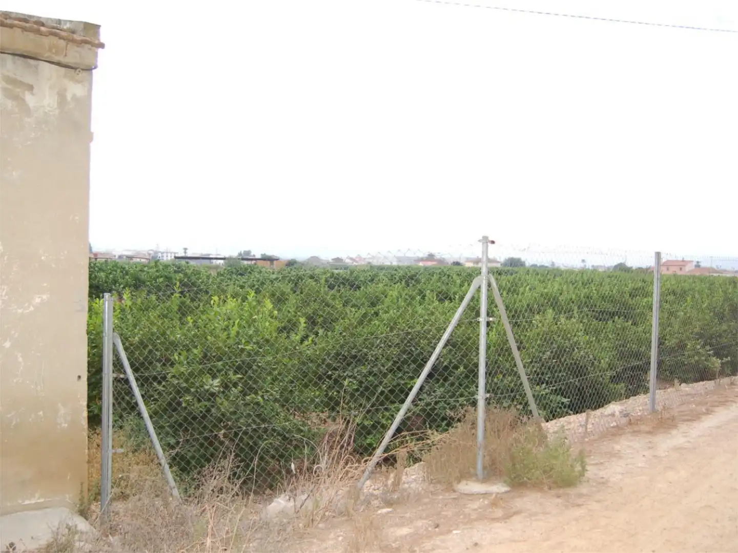 Finca rústica en venta en Vereda del Cementerio, 264, Desamparados - Hurchillo - Torremendo Finca rústica en venta en Orihuela con Jardín privado