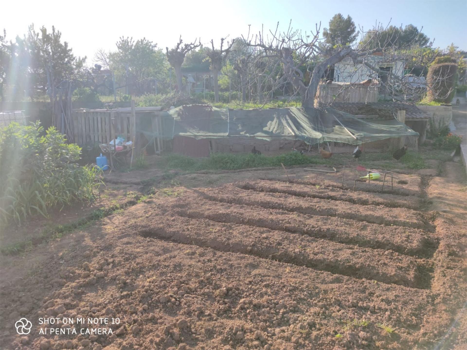 Garden of Country house for sale in Manresa