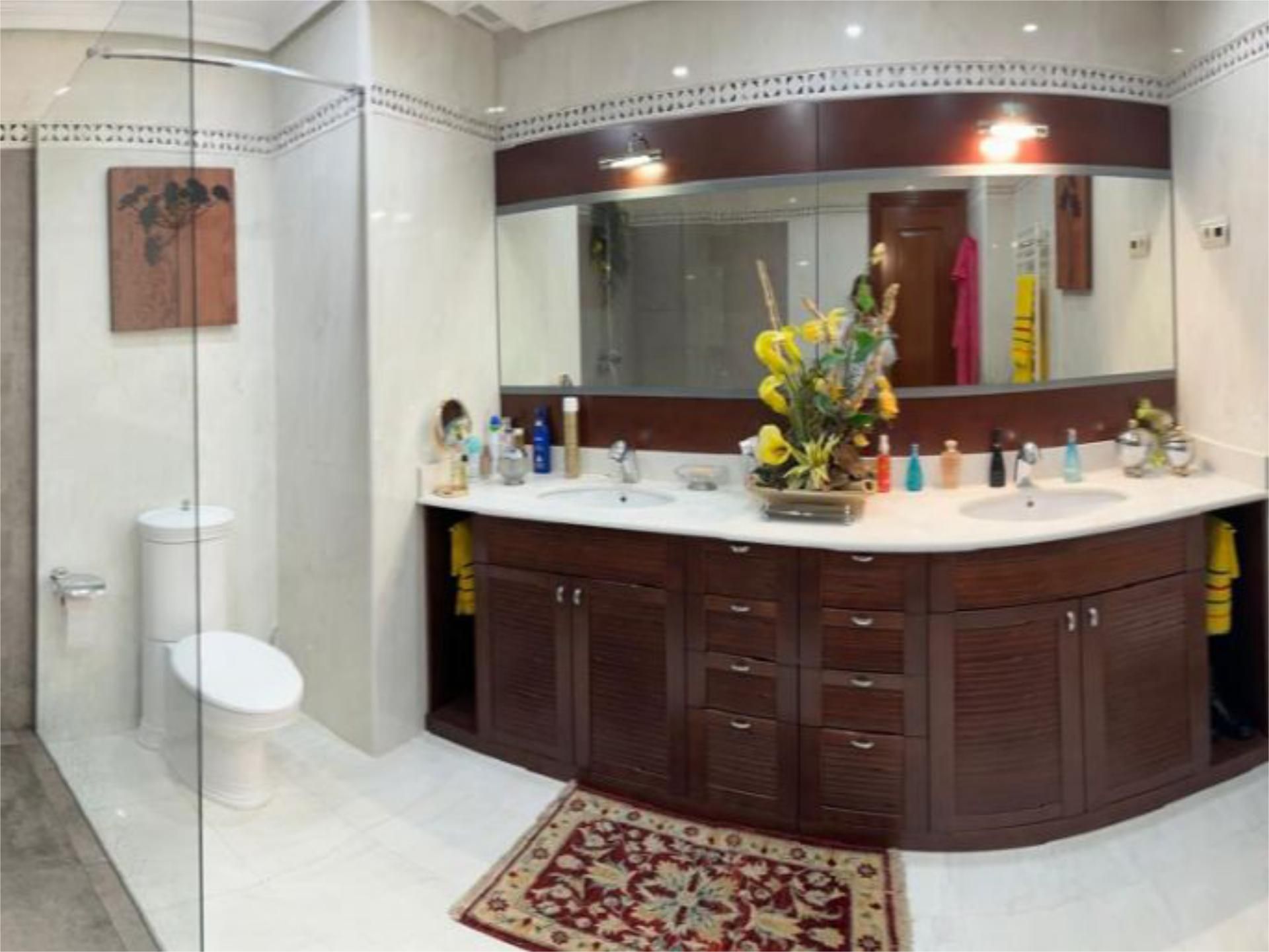 Bathroom of Flat to rent in  Madrid Capital  with Terrace and Furnished