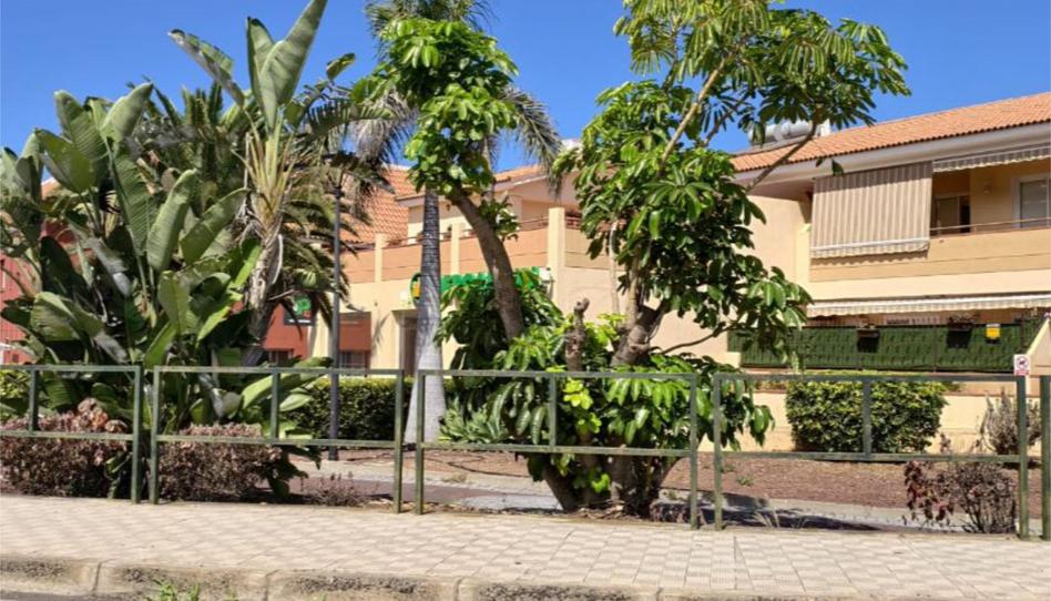 Flat for sale in Camino Carril, 65a, San Antonio - Las Arenas, Santa Cruz de Tenerife - image 1 Photo 1 of Flat for sale in Camino Carril, 65a, San Antonio - Las Arenas, Santa Cruz de Tenerife