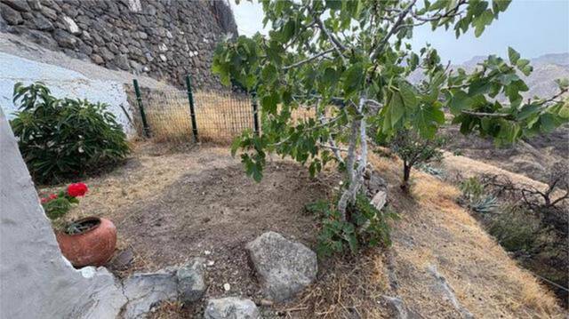 Casa-chalet en Venta en Tejeda