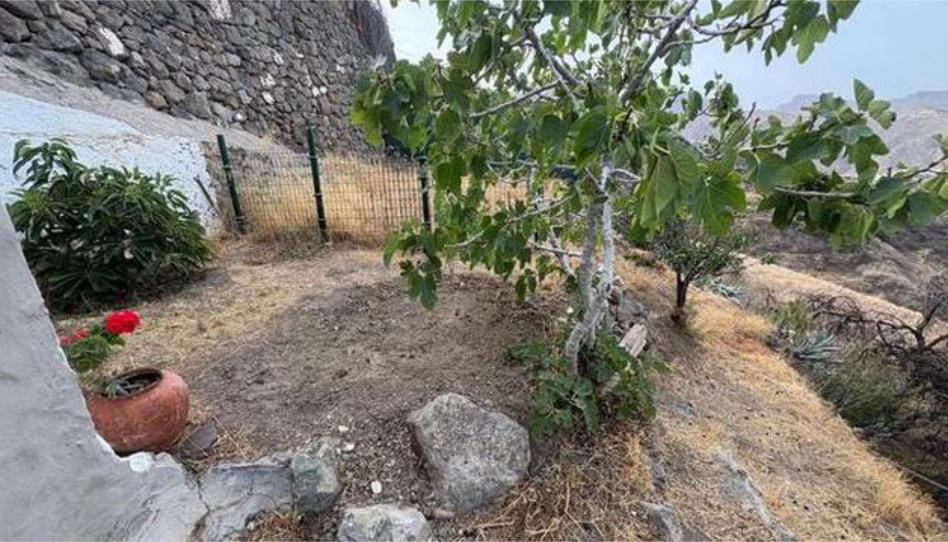 House or chalet for sale in Tejeda, Las Palmas - image 1 Photo 1 of House or chalet for sale in Tejeda, Las Palmas