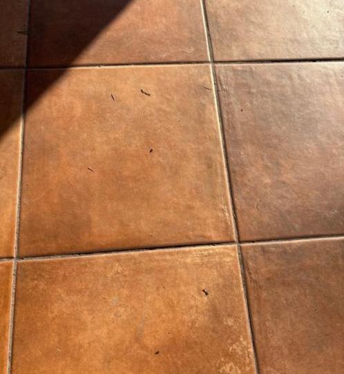 Foto 1 de Garatge en venda a Calle Calveras, 1, La Overuela, Valladolid