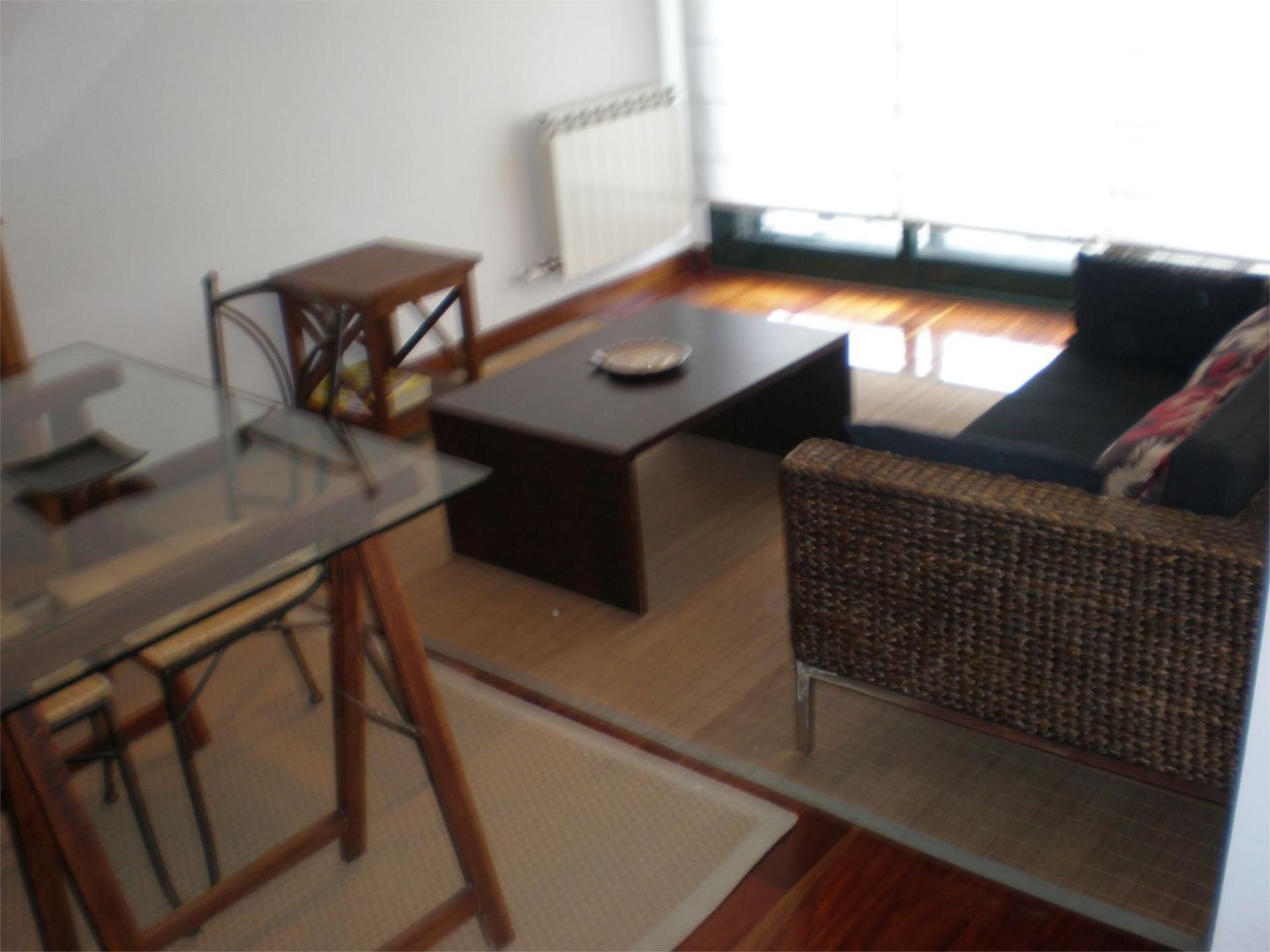 Sala d'estar de Estudi de lloguer en Pontevedra Capital  amb Terrassa