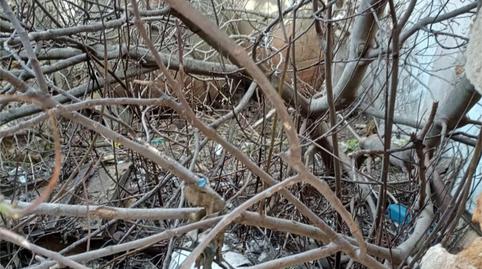 Foto 5 de Casa adosada en venda a Calle Pastrana, 1, Escopete, Guadalajara