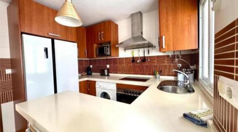 Apartament de lloguer a Centro - Calzada - Cabo Noval, Cádiz - imatge 4 Foto 4 de Apartament de lloguer a Centro - Calzada - Cabo Noval, Cádiz