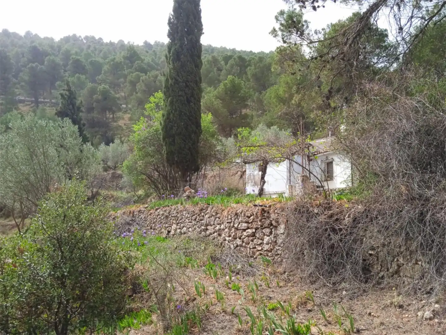Finca rústica en venda a CV-797, 73, Centre - Zona Alta Finca rústica en venda en Alcoy / Alcoi amb Jardí privat, Terrassa i Traster