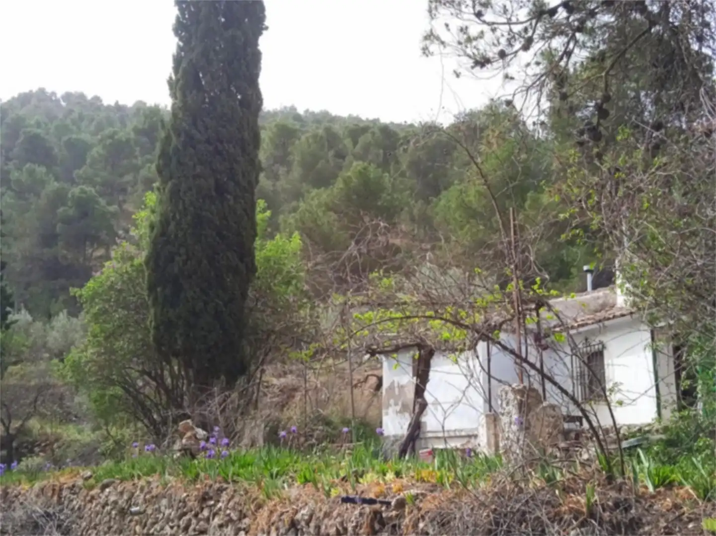 Finca rústica en venda a CV-797, 73, Centre - Zona Alta Finca rústica en venda en Alcoy / Alcoi amb Jardí privat, Terrassa i Traster
