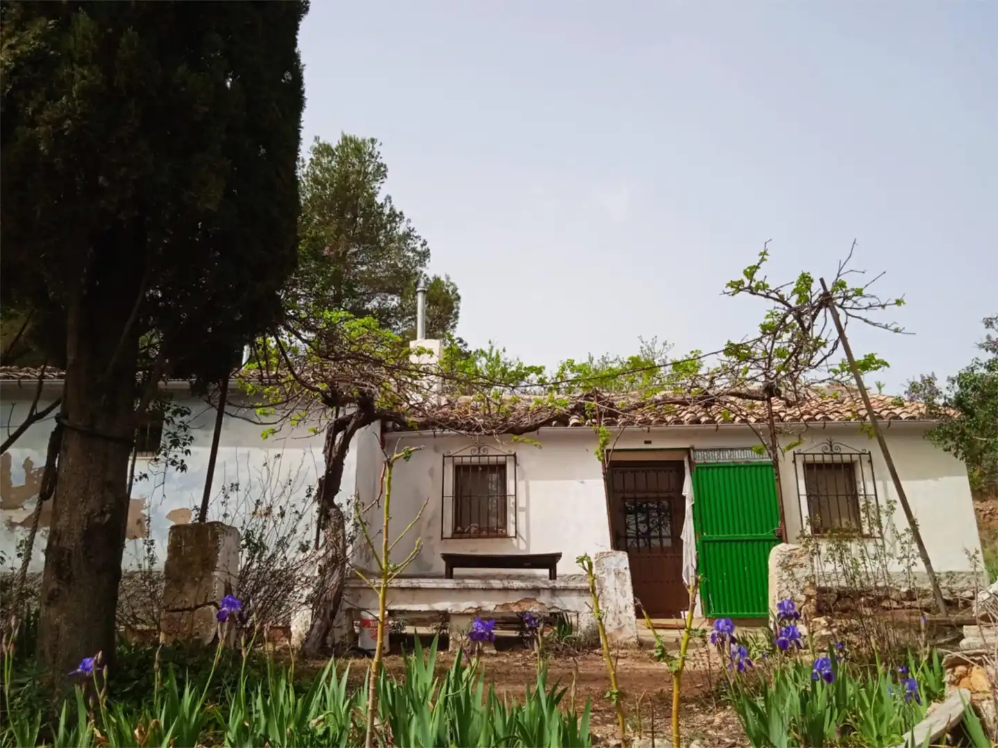 Finca rústica en venda a CV-797, 73, Centre - Zona Alta Jardí de Finca rústica en venda en Alcoy / Alcoi amb Jardí privat, Terrassa i Traster