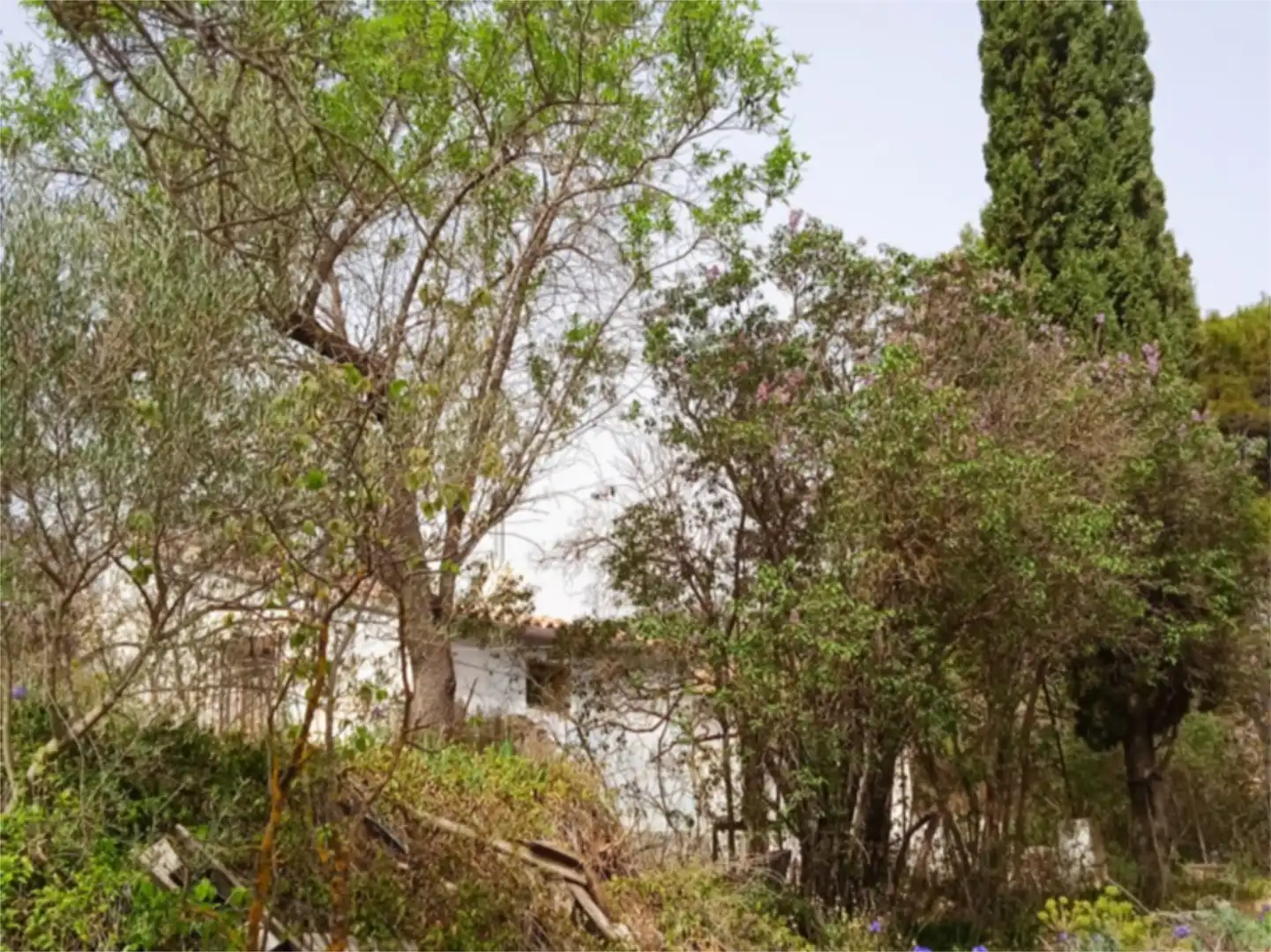 Finca rústica en venda a CV-797, 73, Centre - Zona Alta Finca rústica en venda en Alcoy / Alcoi amb Jardí privat, Terrassa i Traster