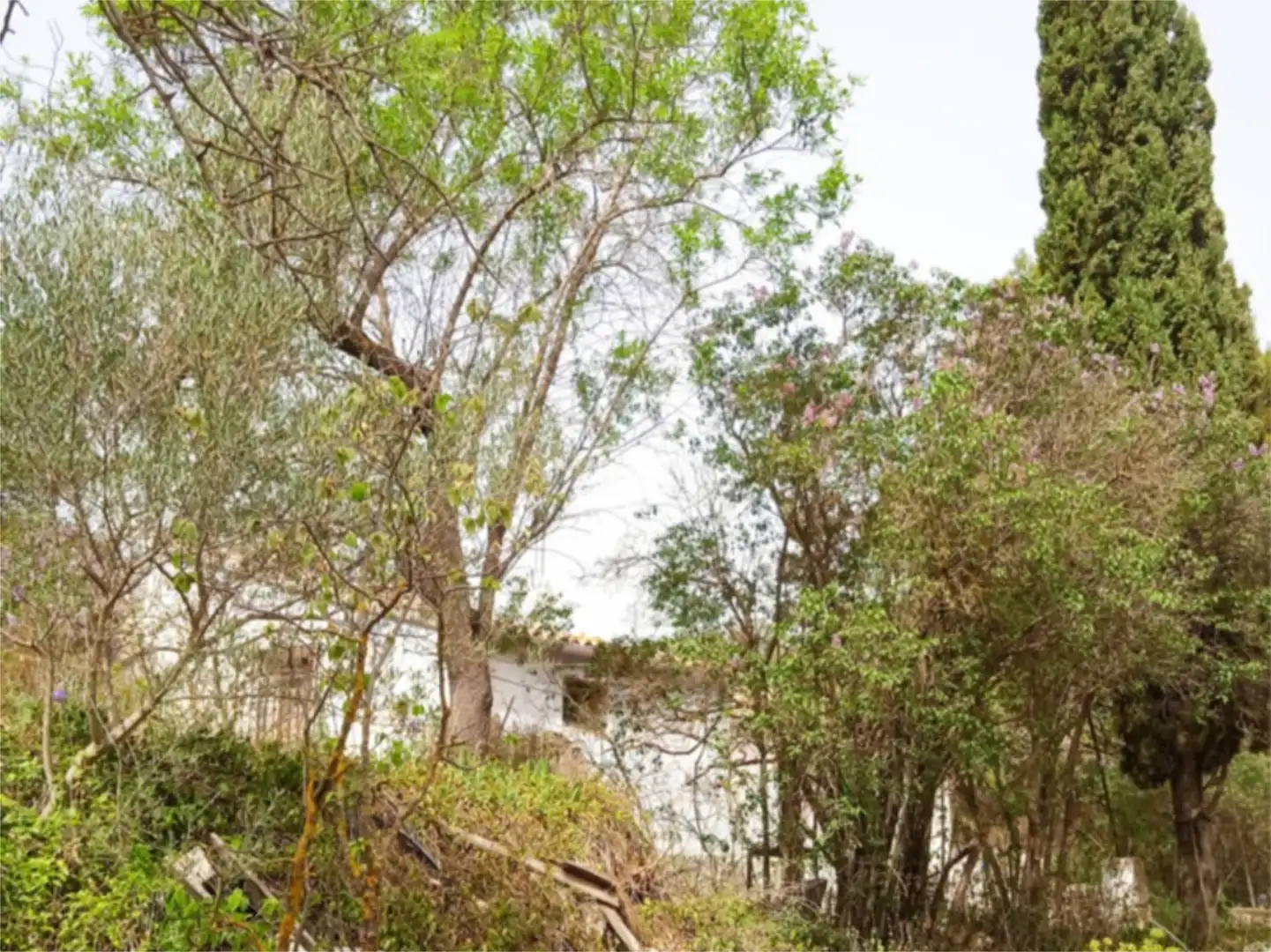 Finca rústica en venda a CV-797, 73, Centre - Zona Alta Finca rústica en venda en Alcoy / Alcoi amb Jardí privat, Terrassa i Traster
