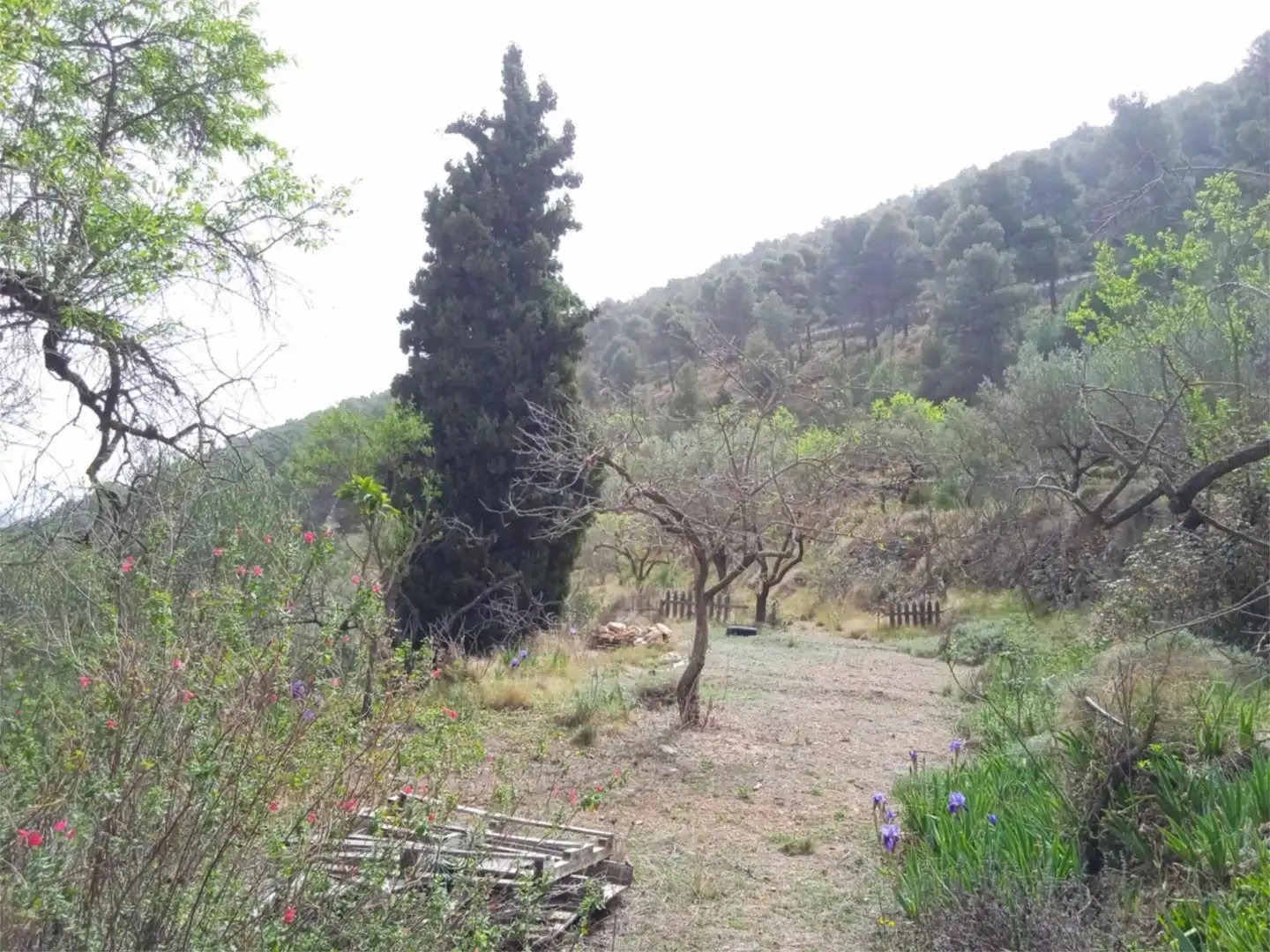 Finca rústica en venda a CV-797, 73, Centre - Zona Alta Finca rústica en venda en Alcoy / Alcoi amb Jardí privat, Terrassa i Traster
