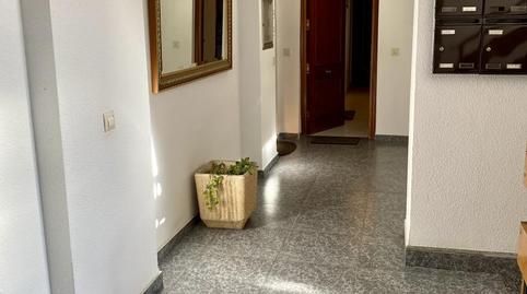 Flat for sale in Rodrigo Alemán, 3, Los Pinos - El Pilar, Cáceres - image 2 Photo 2 of Flat for sale in Rodrigo Alemán, 3, Los Pinos - El Pilar, Cáceres