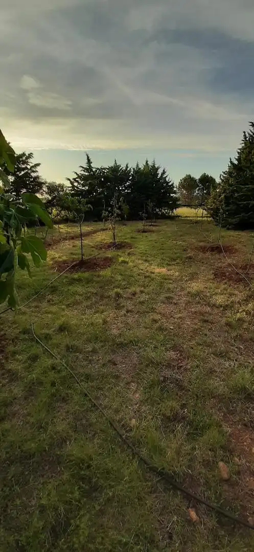Finca rústica en venta en Calle Capillao, 1, Barásoain Finca rústica en venta en Barásoain con Jardín privado, Terraza y Piscina