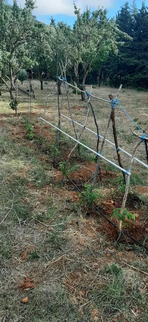 Finca rústica en venta en Calle Capillao, 1, Barásoain Finca rústica en venta en Barásoain con Jardín privado, Terraza y Piscina