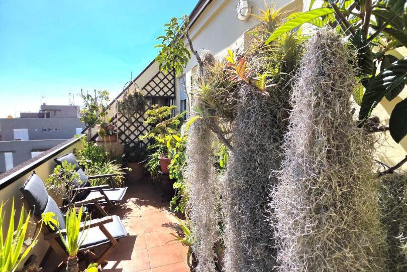 Àtic en venda a Calle Manuel Santaella, 4, Gracia, Santa Cruz de Tenerife - imatge 1 Foto 1 de Àtic en venda a Calle Manuel Santaella, 4, Gracia, Santa Cruz de Tenerife