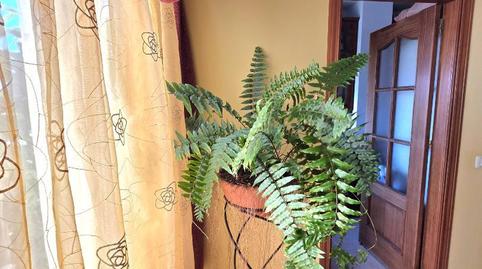 Àtic en venda a Calle Manuel Santaella, 4, Gracia, Santa Cruz de Tenerife - imatge 3 Foto 3 de Àtic en venda a Calle Manuel Santaella, 4, Gracia, Santa Cruz de Tenerife