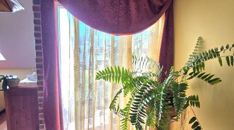 Àtic en venda a Calle Manuel Santaella, 4, Gracia, Santa Cruz de Tenerife - imatge 5 Foto 5 de Àtic en venda a Calle Manuel Santaella, 4, Gracia, Santa Cruz de Tenerife