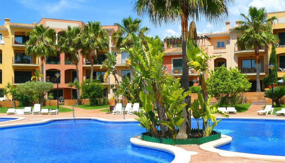 Flat to rent in Carrer Concha Espina, 1, Santa Ponça, Illes Balears - image 1 Photo 1 of Flat to rent in Carrer Concha Espina, 1, Santa Ponça, Illes Balears