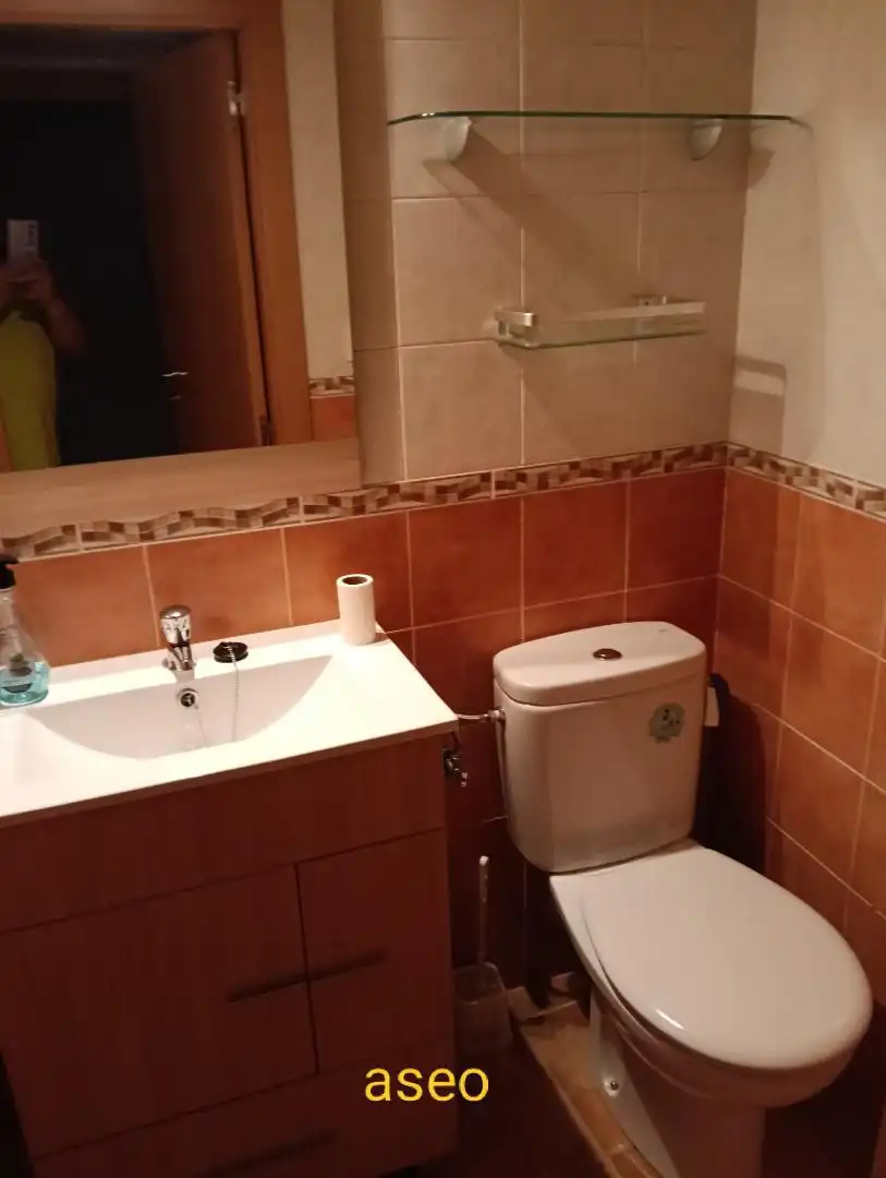 Bathroom of Detached homes for sale in Villavieja de Yeltes