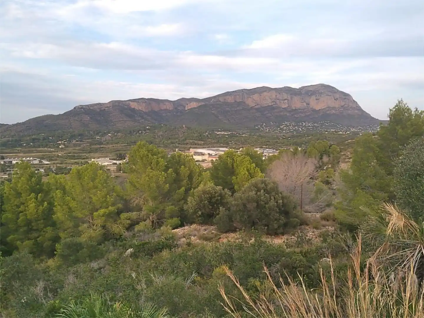 Flat for rent in Pedreguer Flat for rent in Pedreguer