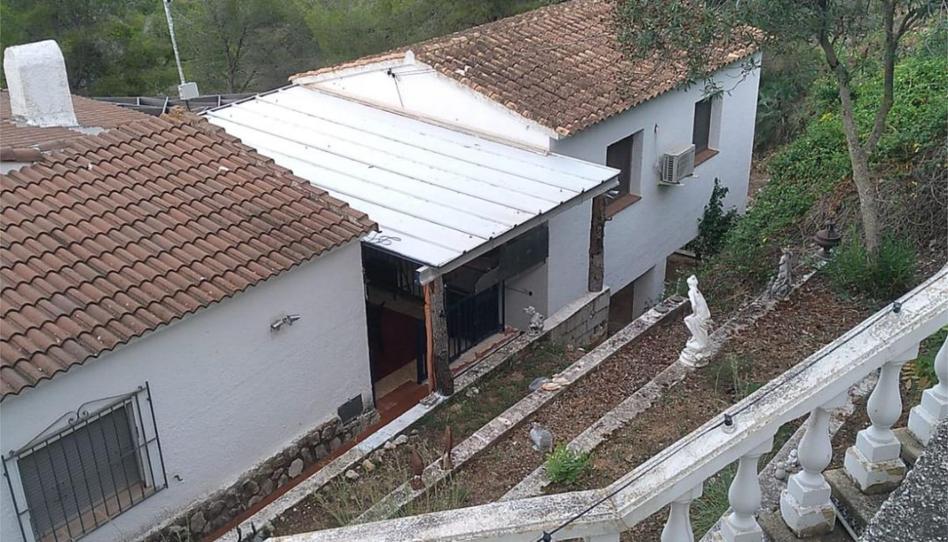 Flat to rent in Pedreguer, Alicante - image 1 Photo 1 of Flat to rent in Pedreguer, Alicante