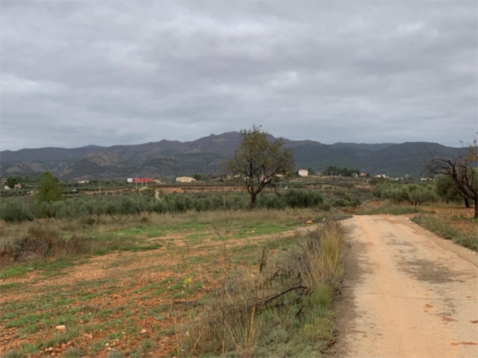 Finca rústica en venda en Calles
