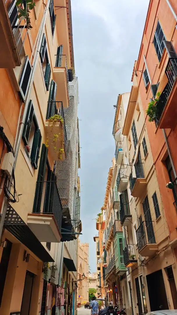 Vista exterior de Local en traspaso en  Palma de Mallorca con Aire acondicionado y Calefacción