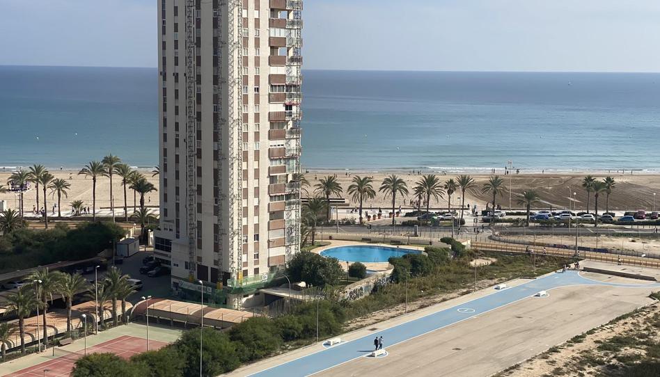 Flat to rent in Avinguda de la Costa Blanca, 155, PAU 5, Alicante - image 1 Photo 1 of Flat to rent in Avinguda de la Costa Blanca, 155, PAU 5, Alicante