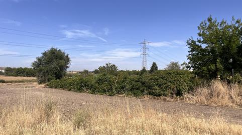 Foto 4 de Finca rústica en venda a Vereda de Pellejeros, 96, Zona industrial, Madrid