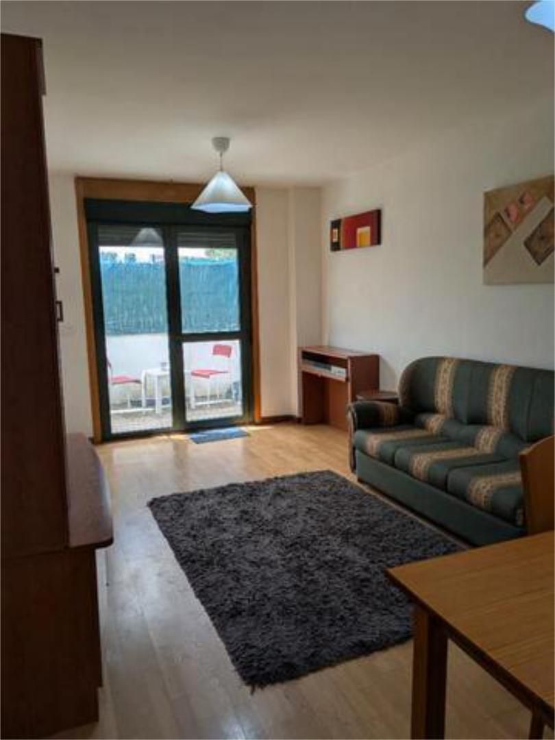Sala d'estar de Apartament de lloguer en Arroyo de la Encomienda amb Calefacció, Terrassa i Moblat