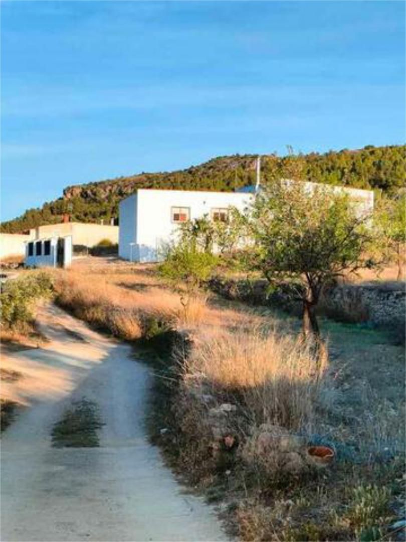 Exterior view of House or chalet for sale in Elche de la Sierra  with Terrace