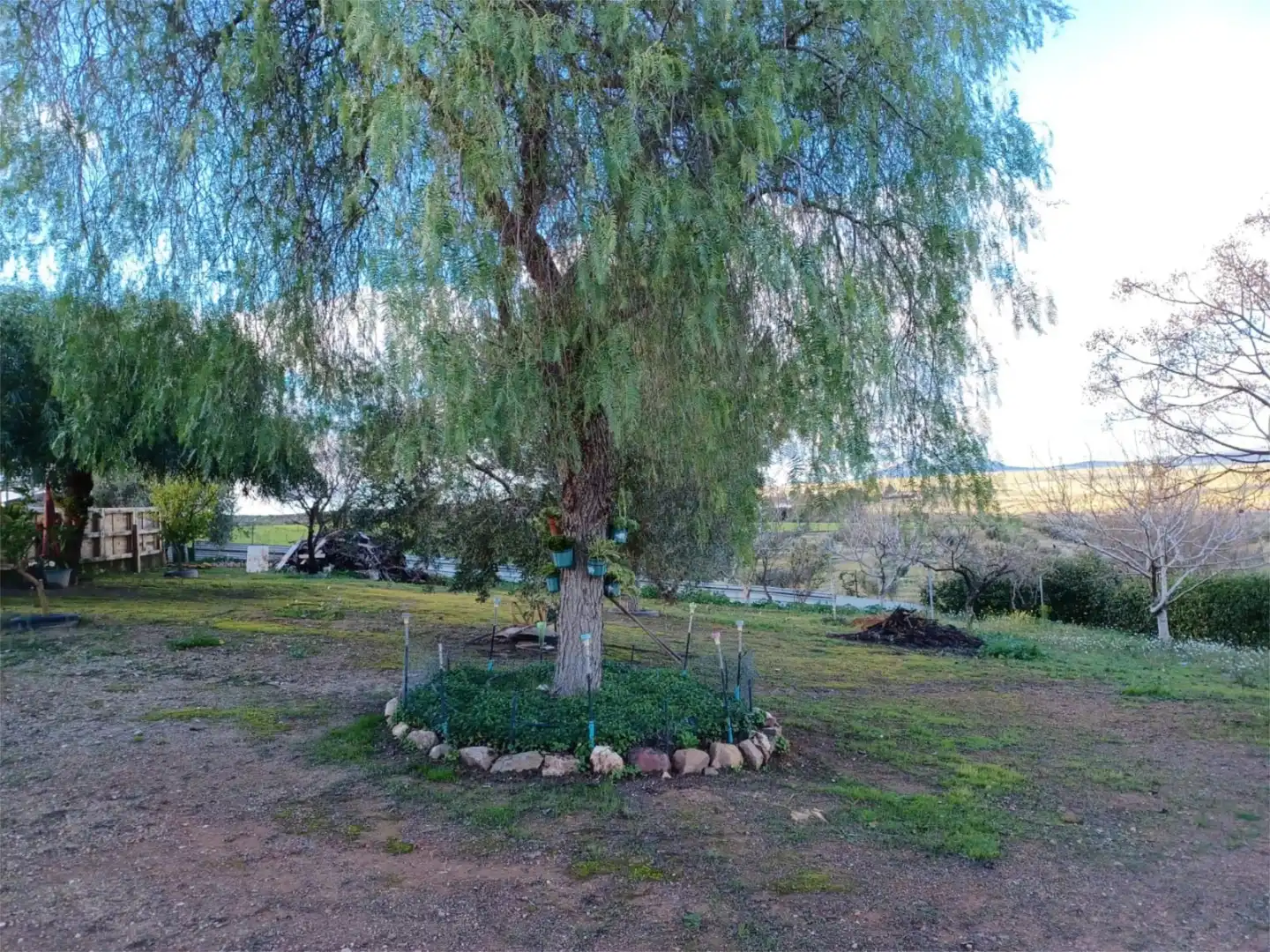 Casa o xalet en venda a Calle Alange, 18, Almendralejo Jardí de Casa o xalet en venda en Almendralejo amb Terrassa, Piscina i Balcó