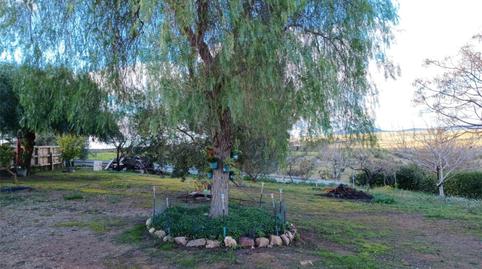 Photo 5 of House or chalet for sale in Calle Alange, 18, Almendralejo, Badajoz