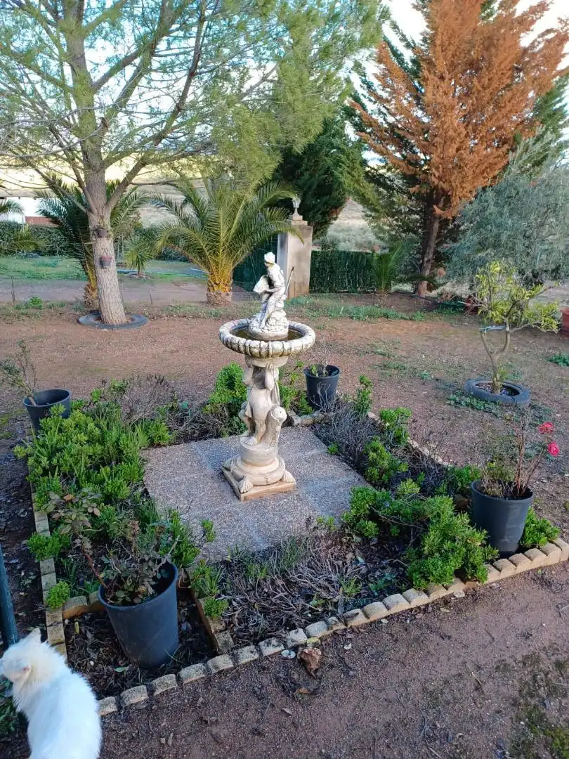 Casa o xalet en venda a Calle Alange, 18, Almendralejo Jardí de Casa o xalet en venda en Almendralejo amb Terrassa, Piscina i Balcó