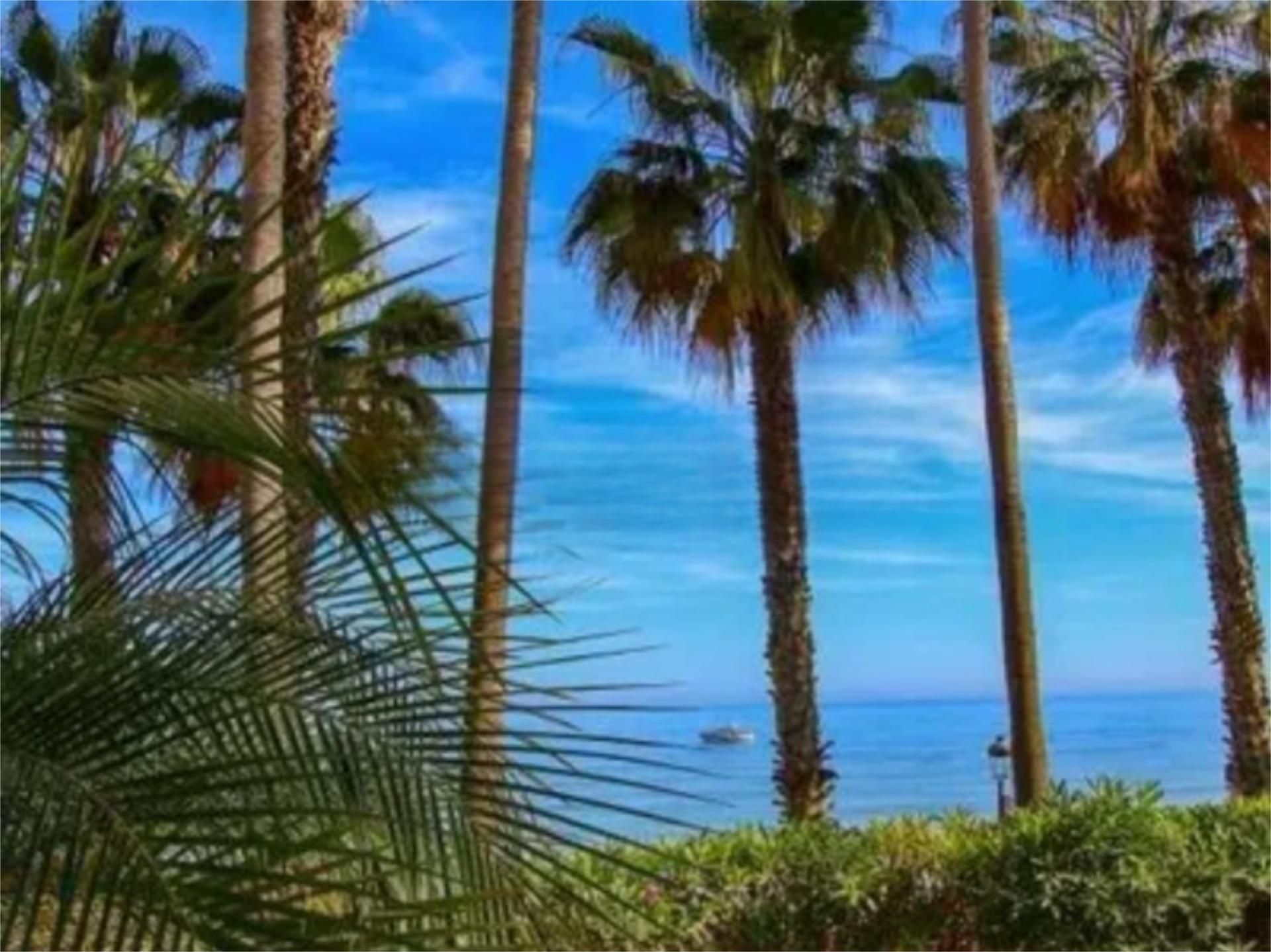 Vista exterior de Pis en venda en Marbella amb Aire condicionat, Terrassa i Piscina