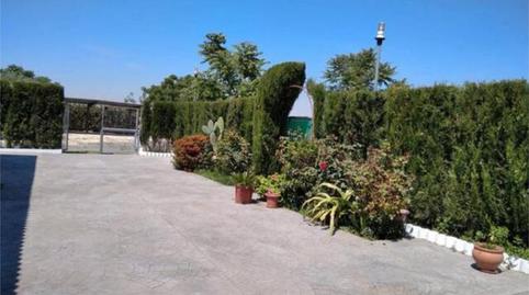 Single-family semi-detached for sale in Los Palacios y Villafranca, Sevilla - image 2 Photo 2 of Single-family semi-detached for sale in Los Palacios y Villafranca, Sevilla