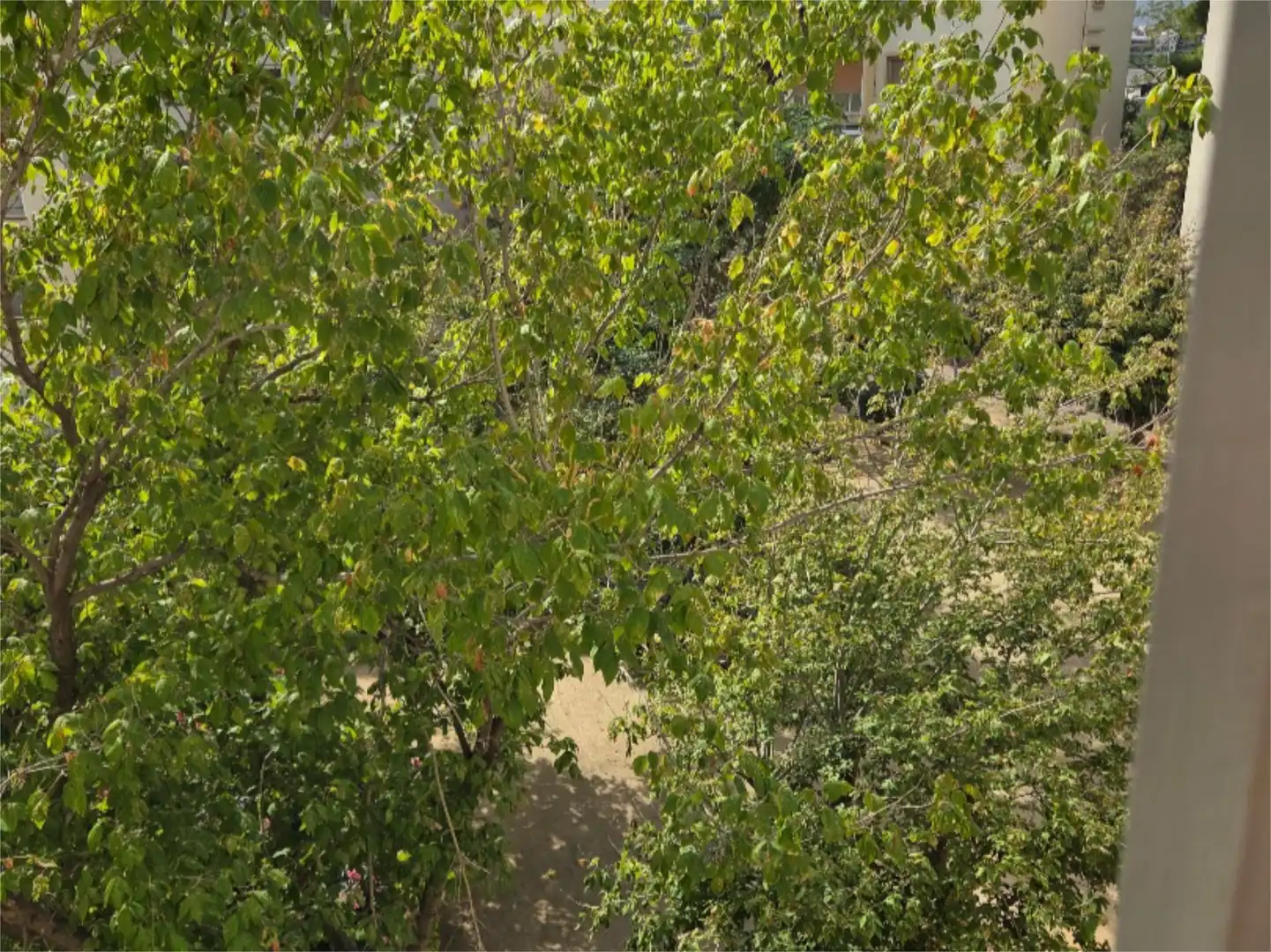 Jardí de Pis en venda en Barcelona amb Calefacció, Parquet i Terrassa