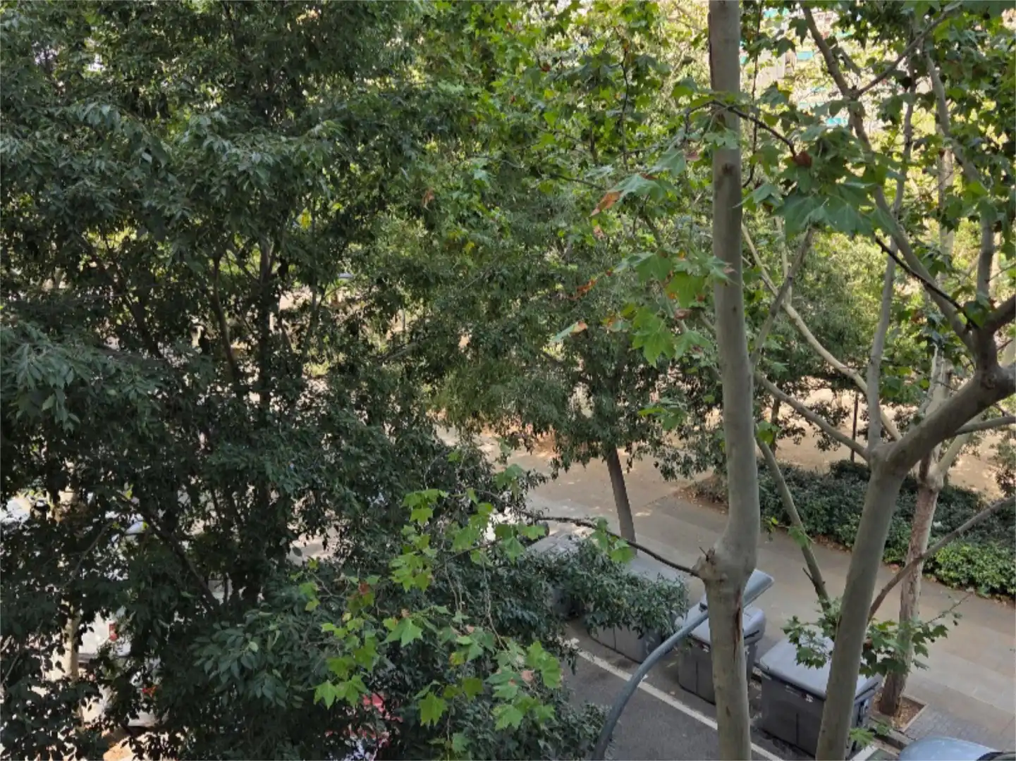 Jardí de Pis en venda en Barcelona amb Calefacció, Parquet i Terrassa