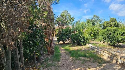 Foto 2 de Casa o xalet en venda a Urbanització Bassetes Sector 7 Sup, 1, Oliva Nova, Valencia