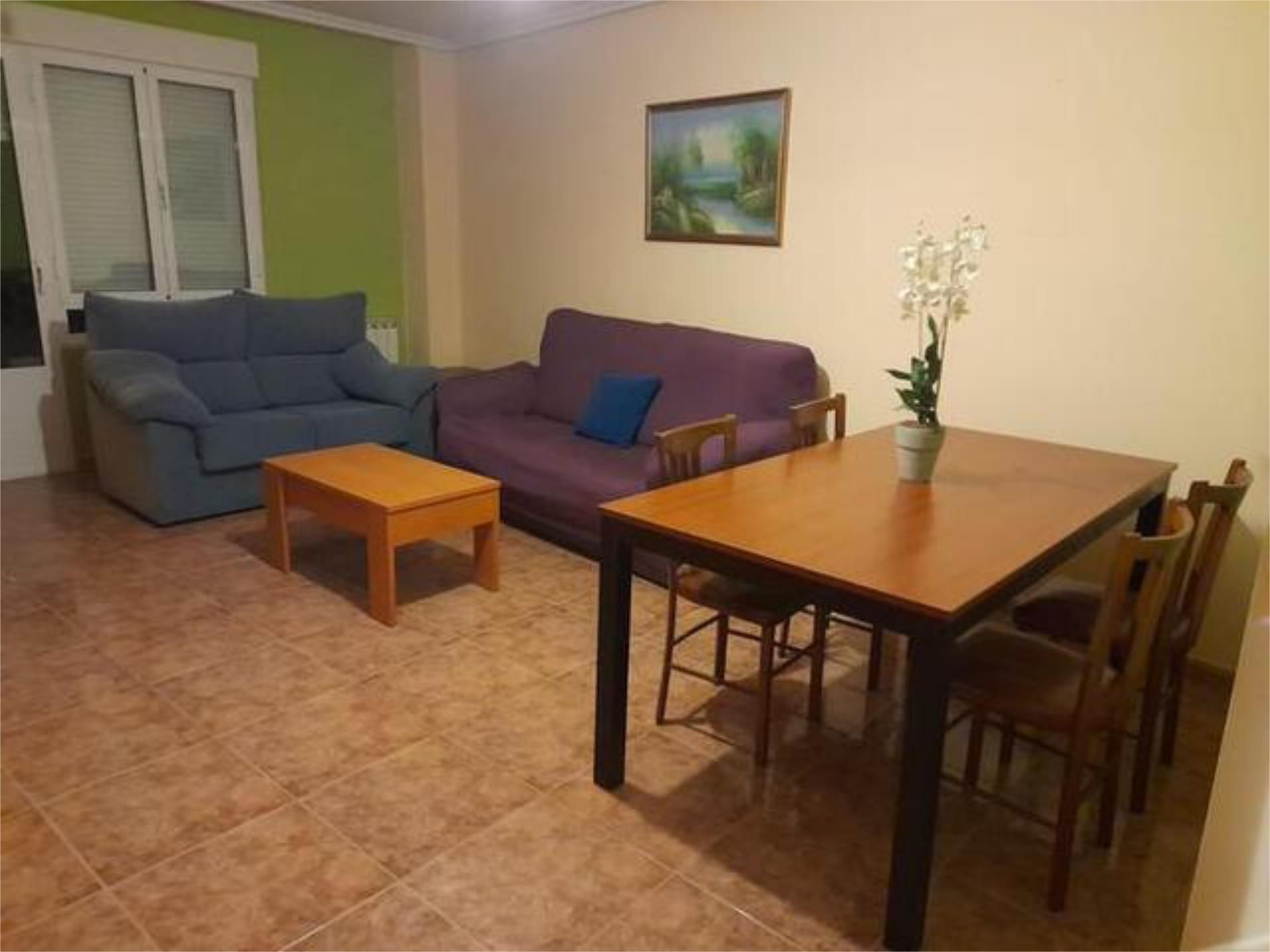 Living room of Flat for sale in Benavides  with Heating, Terrace and Storage room