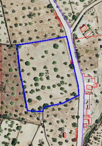 Terreno en Venta en Calle Salvatierra, 9 en Salvaleón