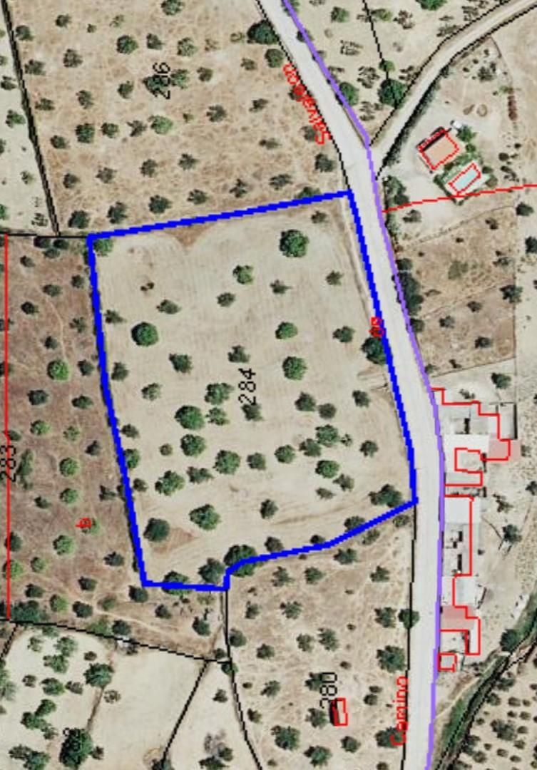 Land for sale in Salvaleón