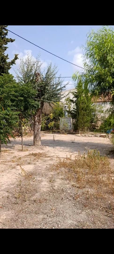 Casa o xalet en venda en Sax amb Terrassa, Piscina i Balcó